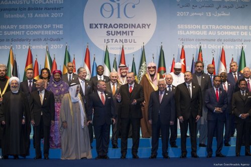 Participants pose for a photo during the extraordinary summit of the Organisation of Islamic Cooperation (OIC) in Istanbul, Turkey on 13 December 2017 [Arif Hüdaverdi Yaman/Anadolu Agency]