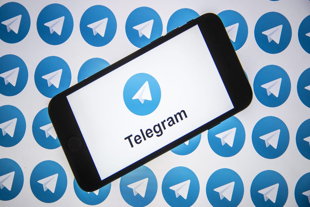 The logo of instant messaging platform "Telegram" is displayed on a smartphone. [Ali Balıkçı - Anadolu Agency ]