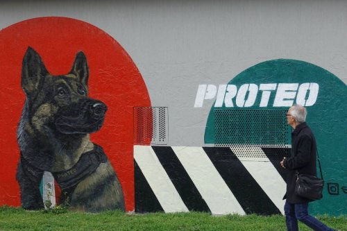 Mexican rescue dog Proteo's portrait painted on a transformer building in Izmir, Turkiye on March 12, 2023. [Halil Şahin - Anadolu Agency]