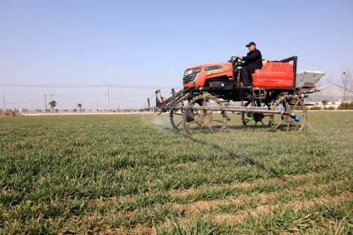 A farmer drives a sprayer to apply fertilizer on wheat [Costfoto/Future Publishing via Getty Images]