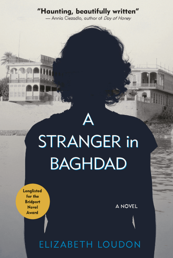 A Stranger in Baghdad: A Novel (Hoopoe Fiction)